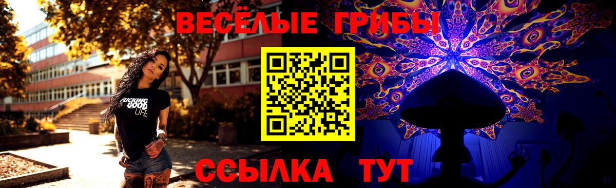 Псилоцибиновые грибы Psilocybe  Псилоцибиновые грибы MAGIC MUSHROOMS  Воронеж  Вход с VPN 